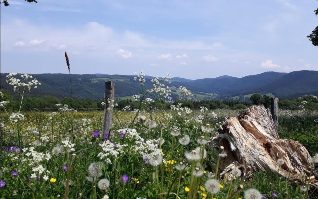 Ferienwohnungen Michel Winterberg Esterno foto